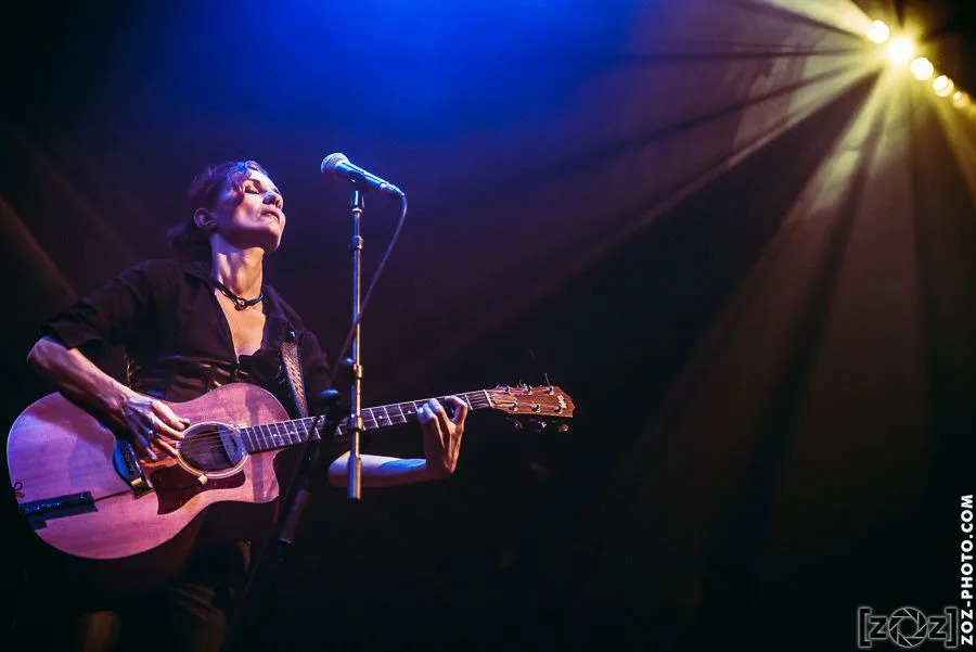 Crashbirds, concert au Gones'n'Live festival (Chaponost), le 2 mai 2014