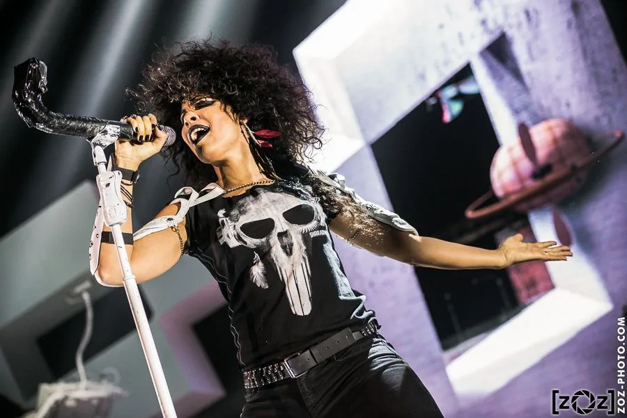 Shaka Ponk, concert au Zénith d'Auvergne (Clermont-Ferrand), le 29 octobre 2014