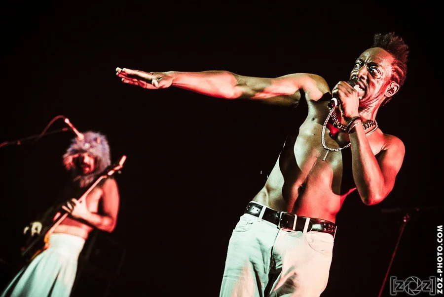 FFF, concert à Bercy (Paris), le 20 novembre 2014