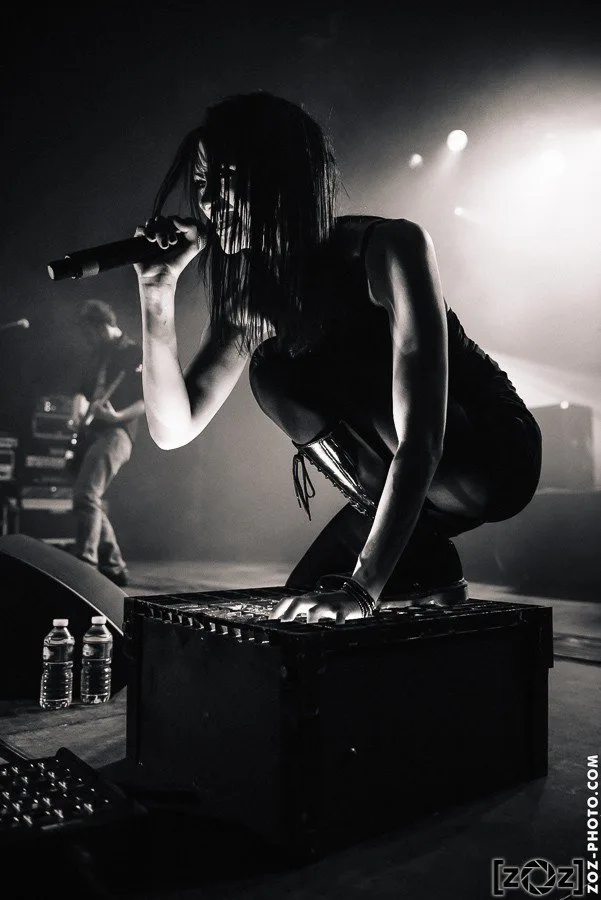 ETHS, concert au D-Viation festival (Albertiville), le 24 avril 2015